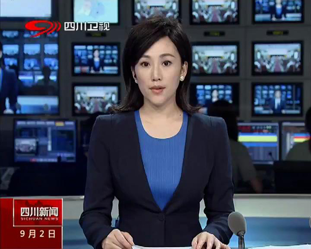 荣县双古镇一匹山崩塌